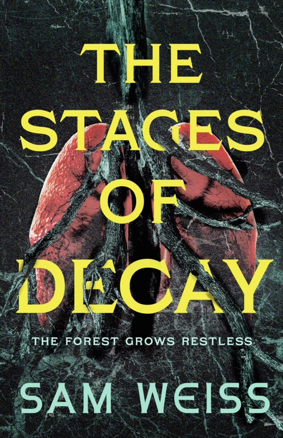 Stages of Decay